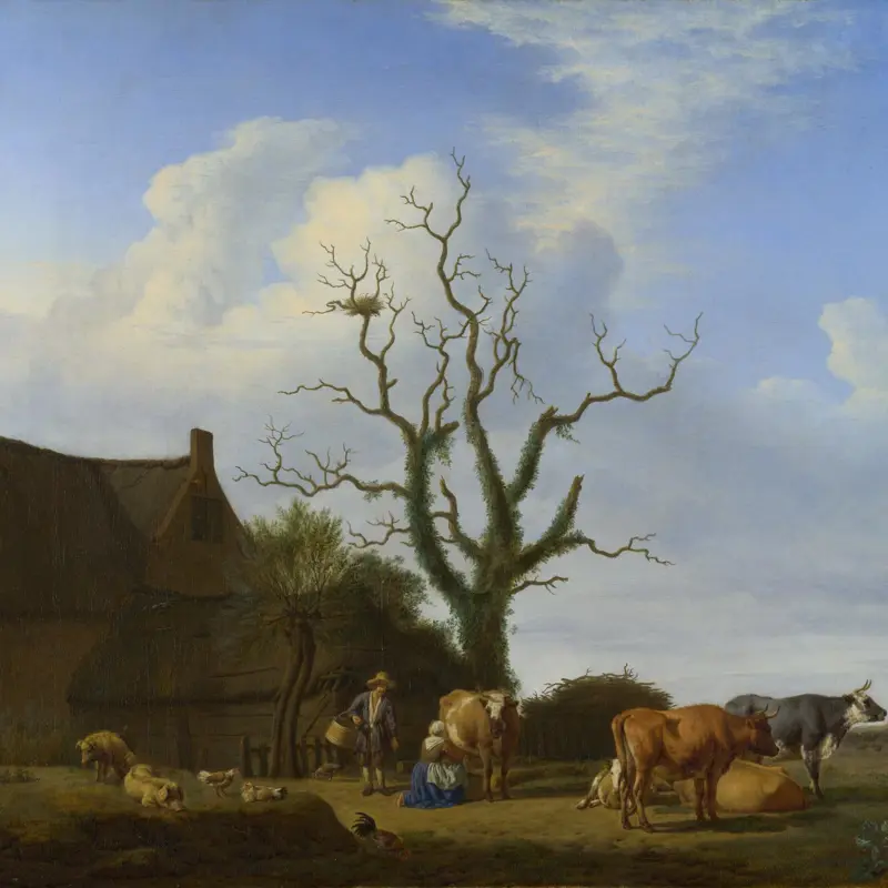 A Farm with a Dead Tree