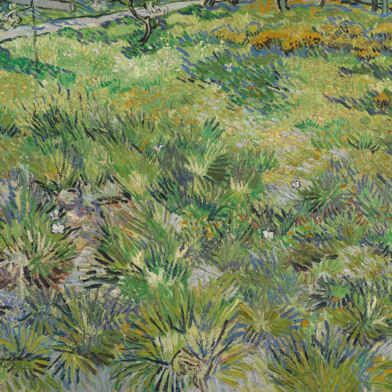 Long Grass with Butterflies